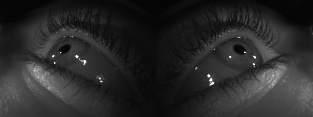 Meta Aria periocular NIR sample