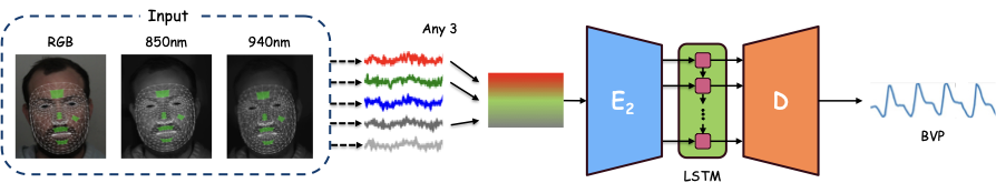 Three-channel RGB and NIR model schematic