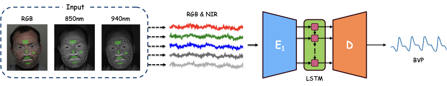 Five-channel RGB and NIR model schematic